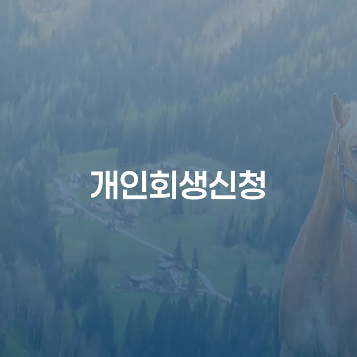 약수동 개인회생 신청 절차와 성공 사례