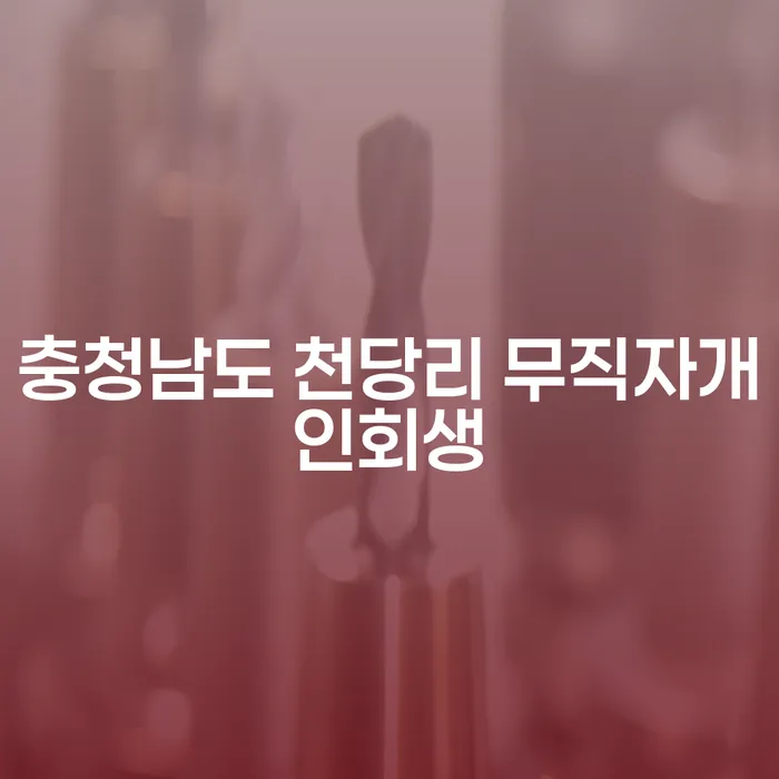 충청남도 천당리에서 무직자도 개인회생을 신청할 수 있을까요?